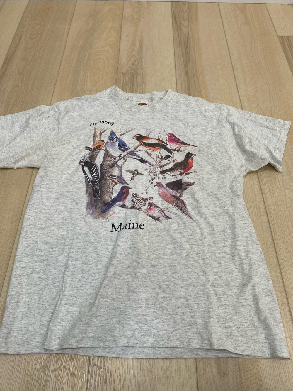 Vintage 90s Birds Maine Graphic Single Stitch T-Shirt Nature Sz Large